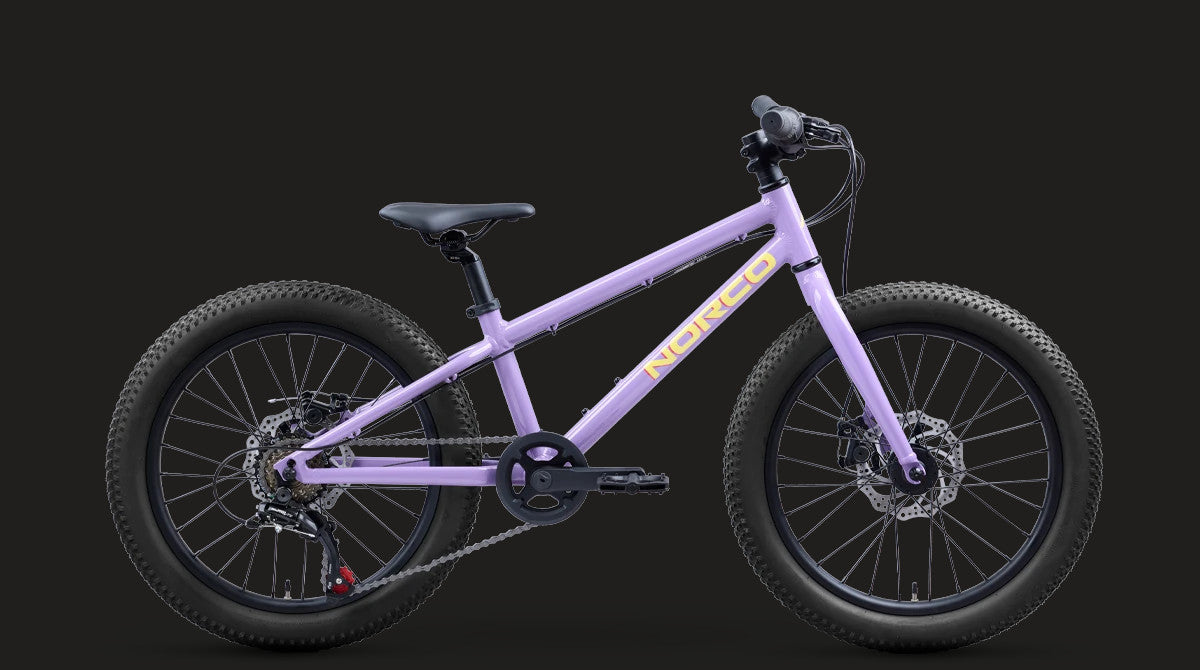 Norco Storm 20 Disc 2027 [col:purple]