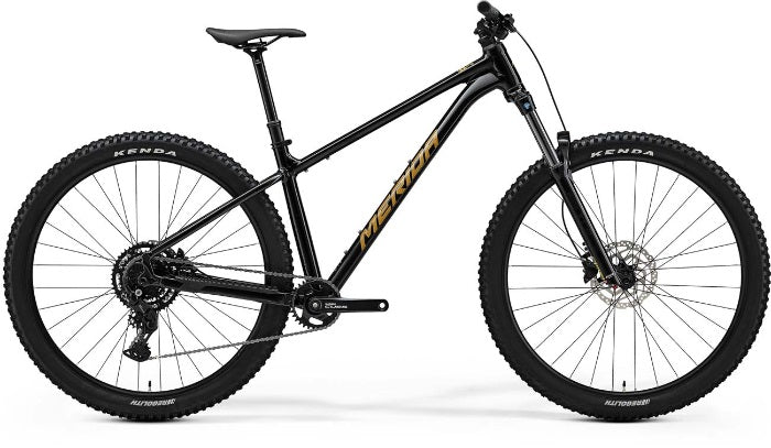 Merida Big Trail 300 Ii1 Black/brown 2025 [sz:sm]