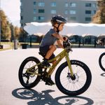 Scott Roxter 20 Green 2025
