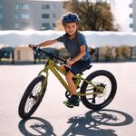 Scott Roxter 20 Green 2025