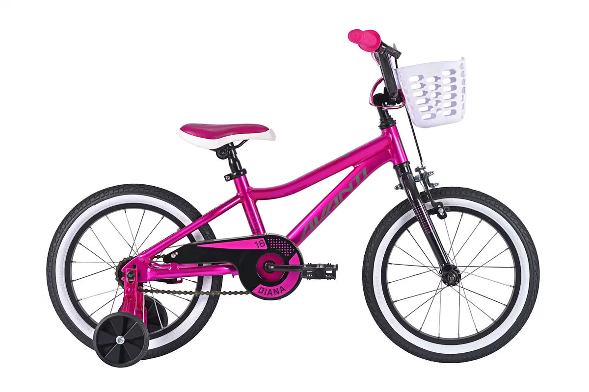 Avanti Diana 16 2027 [col:met Purple]