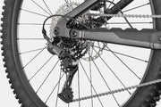 Cannondale Moterra 3 2026 [sz:lg Col:obsidian]