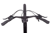 Pedal Breeze St Ebike 2025 [sz:lg Col:satin Black]