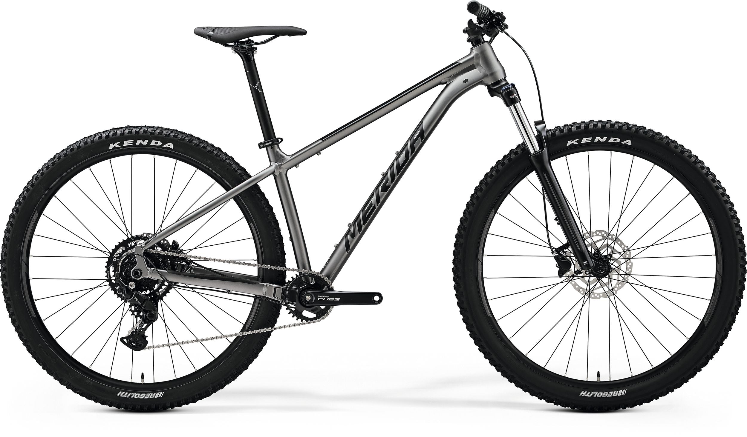 Gunmetal grey mountain bike sale